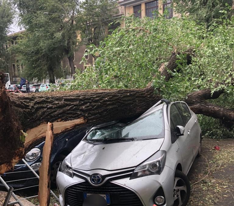 Maltempo a Roma, U.Di.Con.: “La Capitale nel caos già dalle prime ore del giorno”