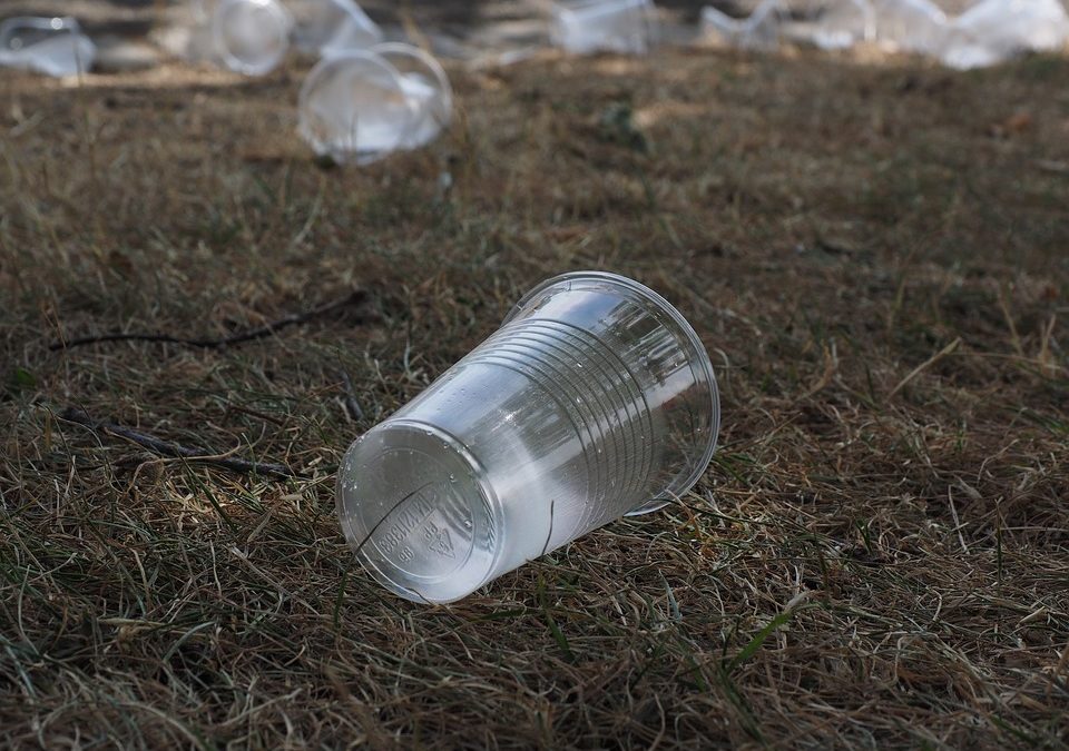 Scuole plastic-free nel Lazio, U.Di.Con.: “Bene così, ma non dimenticare gli altri problemi”