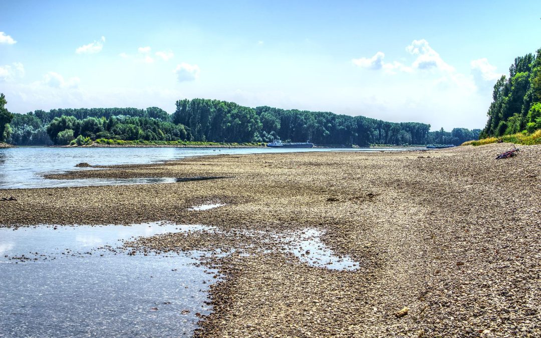 Emergenza siccità: proclamato lo stato di calamità naturale nel Lazio